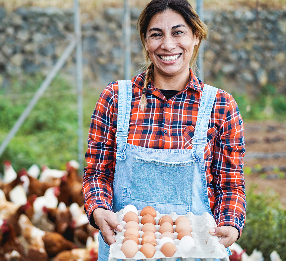 Local farmer woman picking up organic eggs in henhouse
