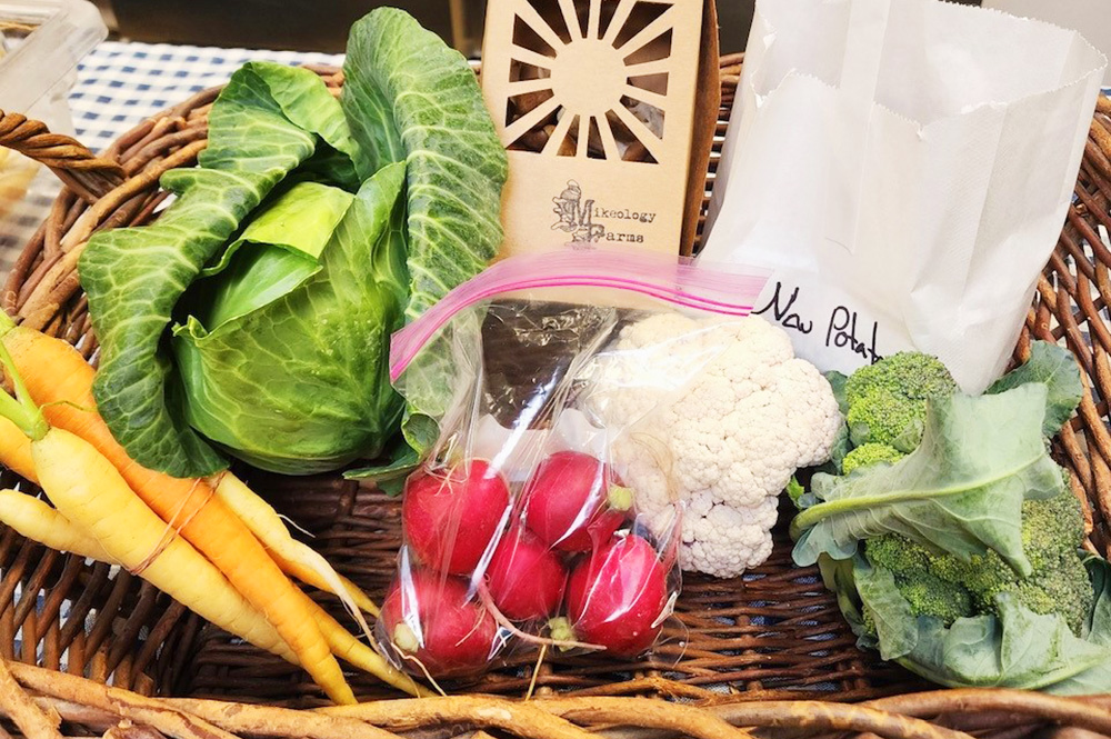 basket of fresh organic produce